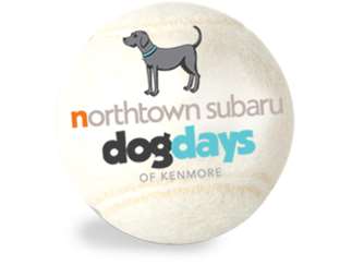 Northtown Subaru Dog Days Of Kenmore Mang Park Kenmore Events At