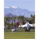Empire Polo & Wine Festival