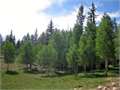 2.82 Acres &nbsp; Duck Creek Village, Kane County, Utah  $350,000