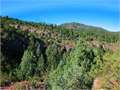35.43 Acres &nbsp; Beulah, Pueblo County, Colorado  $229,000