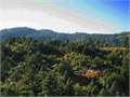 35.01 Acres &nbsp; Beulah, Pueblo County, Colorado  $229,000