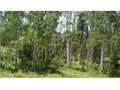 5.01 Acres &nbsp; Duck Creek, Kane County, Utah  $22,000