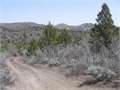 10.51 Acres &nbsp; Duck Creek, Kane County, Utah  $15,000