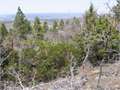 .46 Acres &nbsp; Duck Creek, Kane County, Utah  $15,000