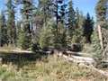 1 Acre &nbsp; Duck Creek, Kane County, Utah  $100,000