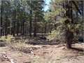 .5 Acres &nbsp; Duck Creek, Kane County, Utah  $30,000