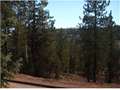 .64 Acres &nbsp; Duck Creek, Kane County, Utah  $15,000