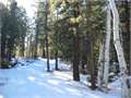 2.3 Acres &nbsp; Duck Creek, Kane County, Utah  $160,000