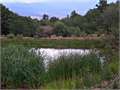 155 Acres &nbsp; Gardner, Huerfano County, Colorado  $345,000