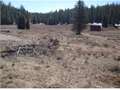 .31 Acres &nbsp; Duck Creek, Kane County, Utah  $12,000