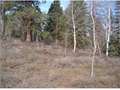 .46 Acres &nbsp; Duck Creek, Kane County, Utah  $29,000