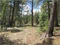 .31 Acres &nbsp; Duck Creek, Kane County, Utah  $42,000