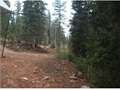 .31 Acres &nbsp; Duck Creek, Kane County, Utah  $78,000