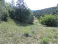 17.53 Acres &nbsp; Westcliffe, Kane County, Utah  $69,500