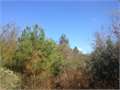 48 Acres &nbsp; Wesson, Copiah County, Mississippi  $119,280