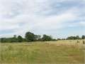 17 Acres &nbsp; Osyka, Pike County, Mississippi  $65,450