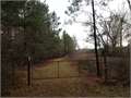60.1 Acres &nbsp; Oak Vale, Lawrence County, Mississippi  $149,649