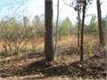 11.54 Acres &nbsp; Brookhaven, Lincoln County, Mississippi  $40,000
