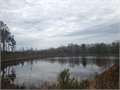 80 Acres &nbsp; Poplarville, Pearl River County, Mississippi  $208,000