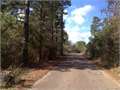 98 Acres &nbsp; Magnolia, Pike County, Mississippi  $249,900