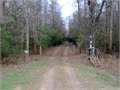 88 Acres &nbsp; Bogue Chitto, Lincoln County, Mississippi  $193,160
