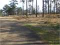 1 Acre &nbsp; Tylertown, Walthall County, Mississippi  $15,000