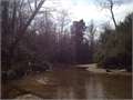 80 Acres &nbsp; Greensburg, St. Helena Parish, Louisiana  $304,000
