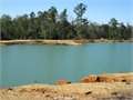 186.5 Acres &nbsp; Carriere, Pearl River County, Mississippi  $499,999