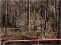 60 Acres &nbsp; Gloster, Amite County, Mississippi  $198,000