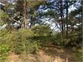 9 Acres &nbsp; Tylertown, Walthall County, Mississippi  $33,300
