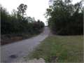 1.88 Acres &nbsp; Tylertown, Walthall County, Mississippi  $8,000