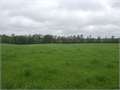 64 Acres &nbsp; Magnolia, Pike County, Mississippi  $236,250