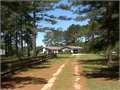 40 Acres &nbsp; Jayess, Lawrence County, Mississippi  $350,000