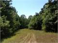 45 Acres &nbsp; Columbia, Marion County, Mississippi  $110,250
