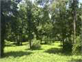 2.4 Acres &nbsp; Osyka, Pike County, Mississippi  $9,600