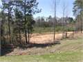 7.28 Acres &nbsp; Tylertown, Walthall County, Mississippi  $23,500