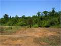 3.5 Acres &nbsp; Magnolia, Pike County, Mississippi  $15,750