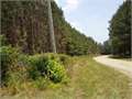 30.91 Acres &nbsp; Tylertown, Walthall County, Mississippi  $92,800
