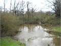 Land in Magnolia, Pike County, Mississippi,   $144,625