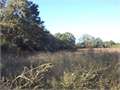 43 Acres &nbsp; Jayess, Lawrence County, Mississippi  $118,250