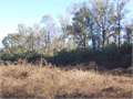 37 Acres &nbsp; Jayess, Lawrence County, Mississippi  $101,750