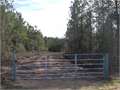 80 Acres &nbsp; Tylertown, Walthall County, Mississippi  $200,000