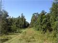 80 Acres &nbsp; Tylertown, Walthall County, Mississippi  $126,800