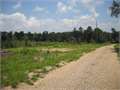17 Acres &nbsp; Tylertown, Walthall County, Mississippi  $34,000