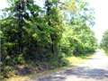 38 Acres &nbsp; Tylertown, Walthall County, Mississippi  $112,100
