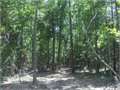 5.39 Acres &nbsp; Summit, Pike County, Mississippi  $28,028