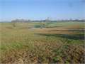 31 Acres &nbsp; Tylertown, Walthall County, Mississippi  $93,000