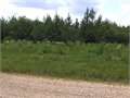 4.3 Acres &nbsp; Amite City, Tangipahoa Parish, Louisiana  $29,900