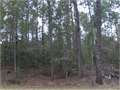 10 Acres &nbsp; Sumrall, Lamar County, Mississippi  $89,500