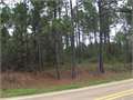 42 Acres &nbsp; Hattiesburg, Lamar County, Mississippi  $203,070
